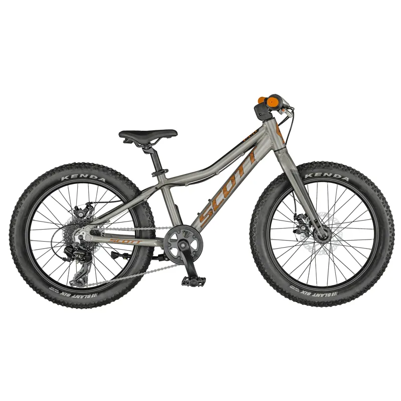 Scott Roxter 20 Junior Mountain Bike in Silver