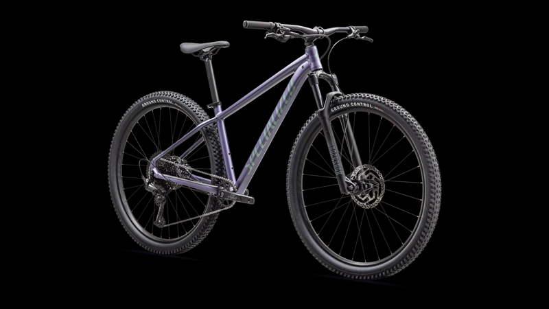 Specialized Rockhopper Comp Mountain Bike in Mauve Metallic-1