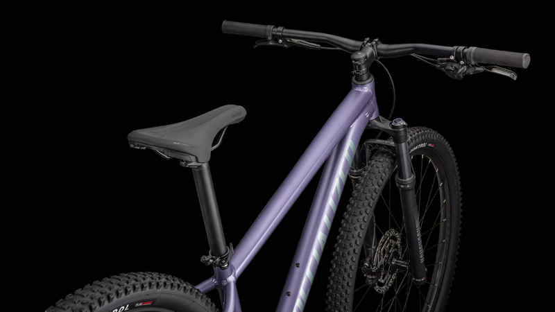 Specialized Rockhopper Comp Mountain Bike in Mauve Metallic-3