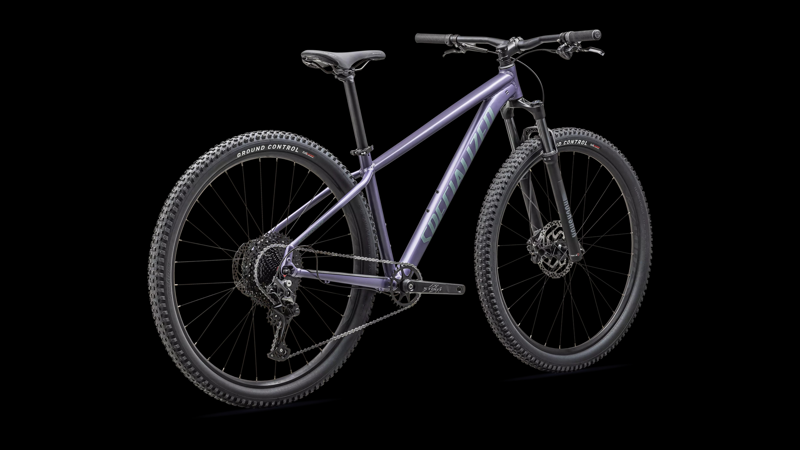 Specialized Rockhopper Comp Mountain Bike in Mauve Metallic-2