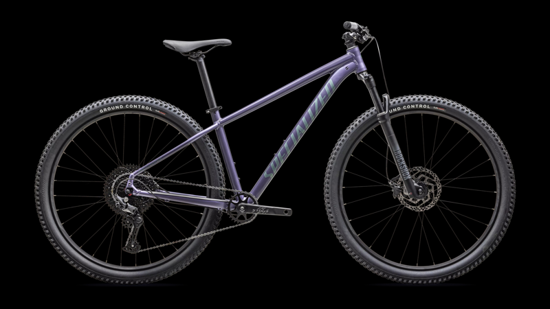 Specialized Rockhopper Comp Mountain Bike in Mauve Metallic