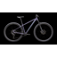 Specialized Rockhopper Comp Mountain Bike in Mauve Metallic